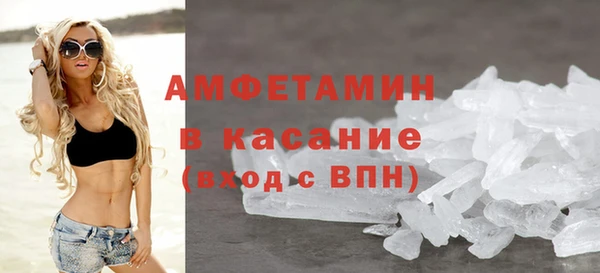 прущие грибы Белокуриха