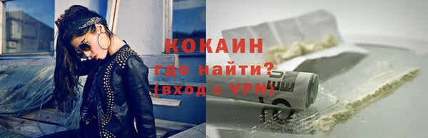 прущие грибы Белокуриха