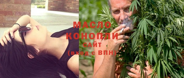 сатива Бородино
