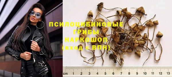 метамфетамин Богданович