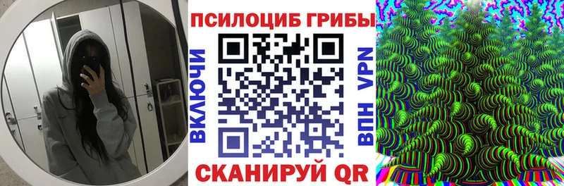 Галлюциногенные грибы ЛСД  продажа наркотиков  Дагестанские Огни 